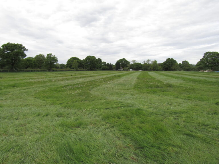 1159 0fab2f68a02f61e96afa93358aca5c52 1 768x576