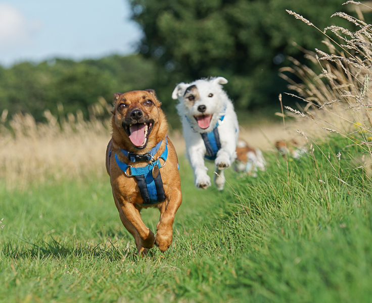 1159 34a78ddf4ef2c92a872e0ded76c3a76f 1