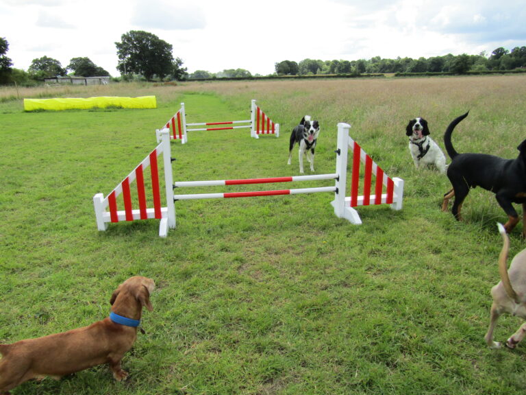 1159 8596c11b7ff684127935fcb23534d7a3 1 768x576