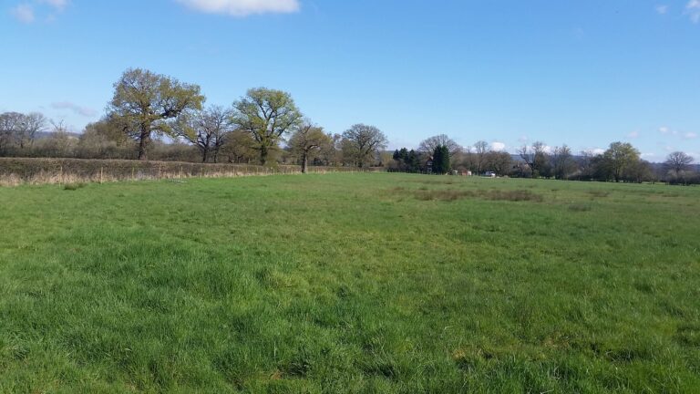 1159 bdf8dc005f82199f9e99ba4060b267d5 1 768x432