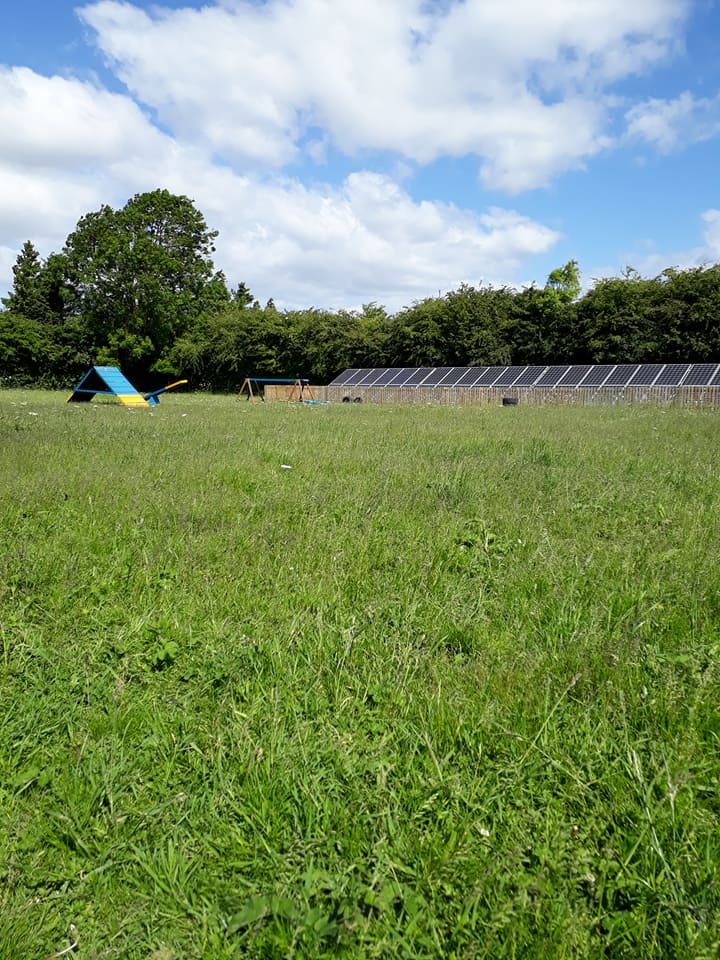 1163 16872d26d0aa0ed72f35238c1e66addc 1