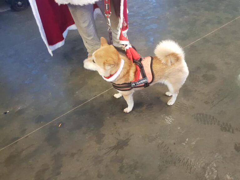 1163 26e4b87471ff9aec47a69f0da00878c8 1 768x576