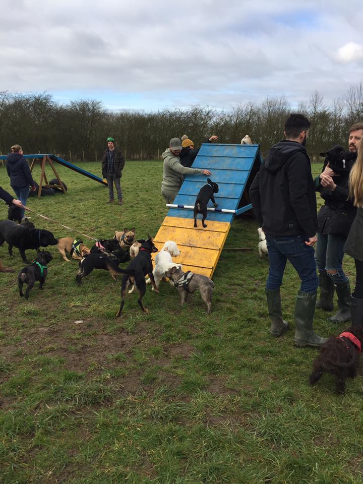 1163 324f84386c8dea56bfa54813d7af885e 1