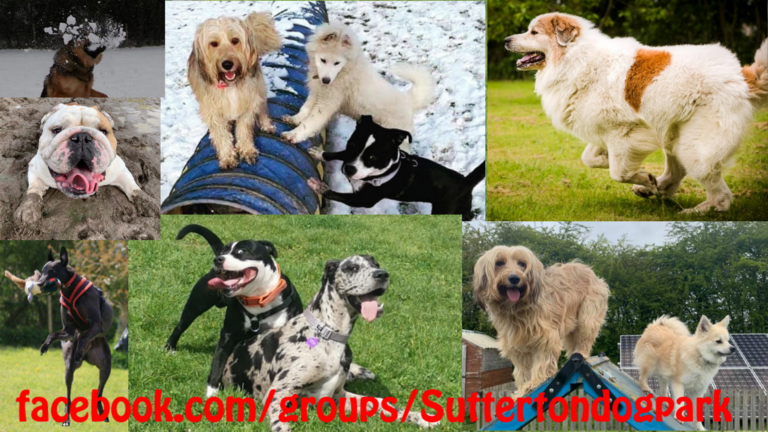 1163 46d9e65be8ed3918cb586dc9ffbf4fa0 1 768x432