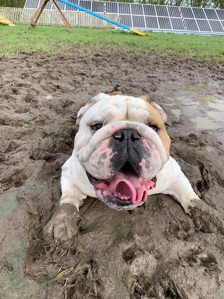 1163 7a5bb85a7b4d481a53d604cad8367bbe 1