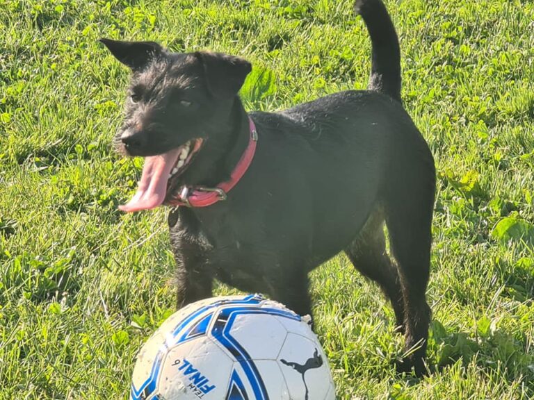 1163 7b622bbdb897e42109073ead129d7423 1 768x576