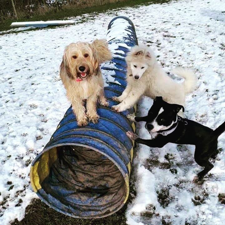 1163 98d290d4fb48dc2f1625e6f7160f1d08 1