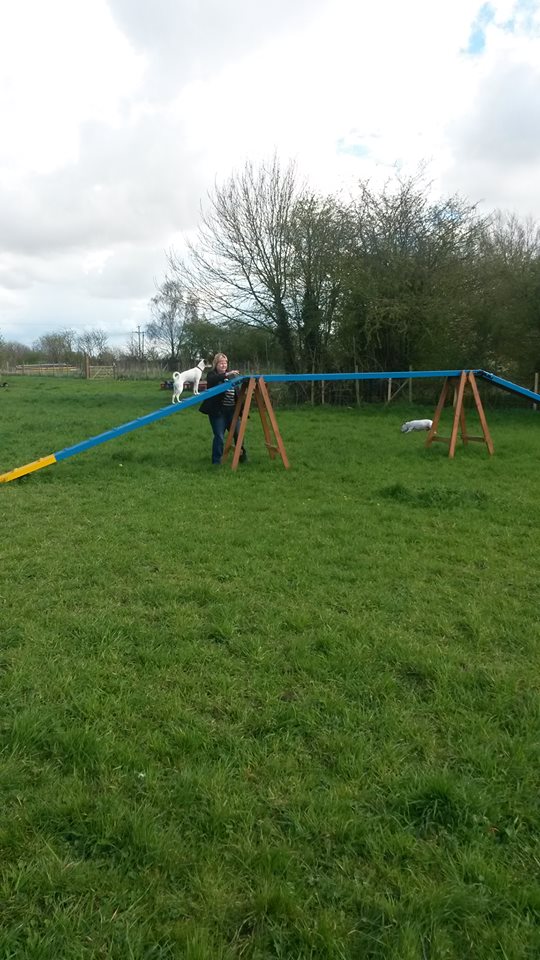 1163 dc9846ff27529d37d65180337cf48996 1