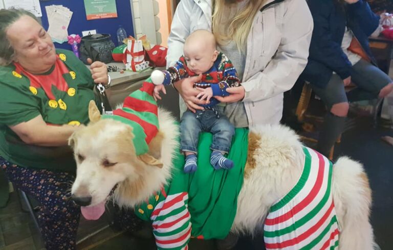 1163 f84962e5552269e44b6fc2699475597d 1 768x490