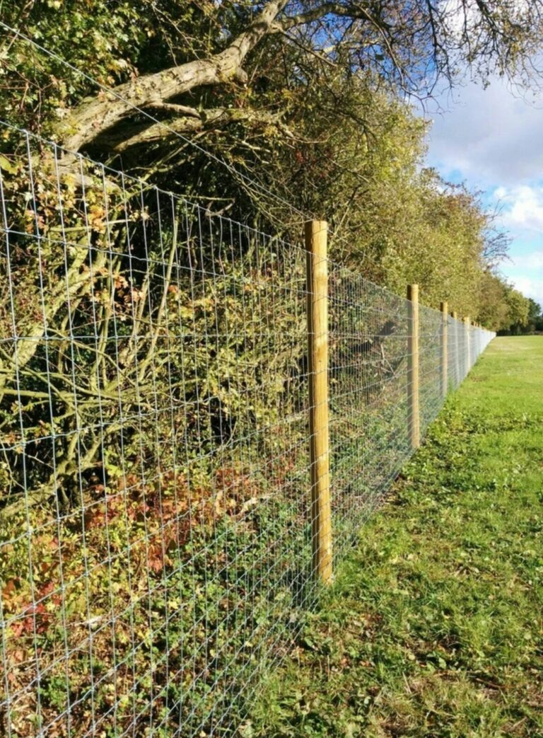 1165 4a2b77065467cd7eb042ca0afd0a3433 1 768x1043