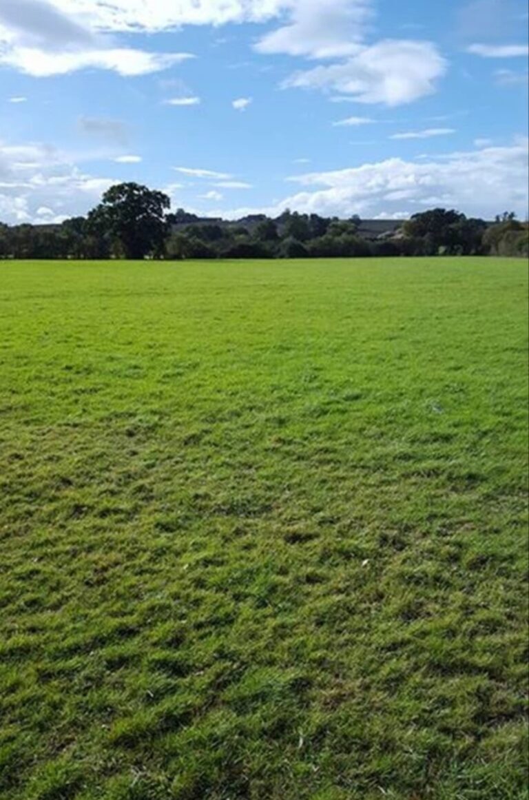 1165 538ecfef95c1be5246dd29ca51f695cd 1 768x1161