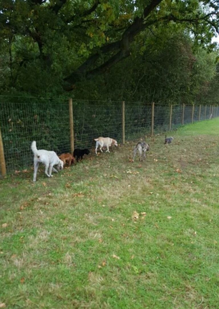 1165 6e8e4662388b3ff9201e50a6367a8716 1 768x1080