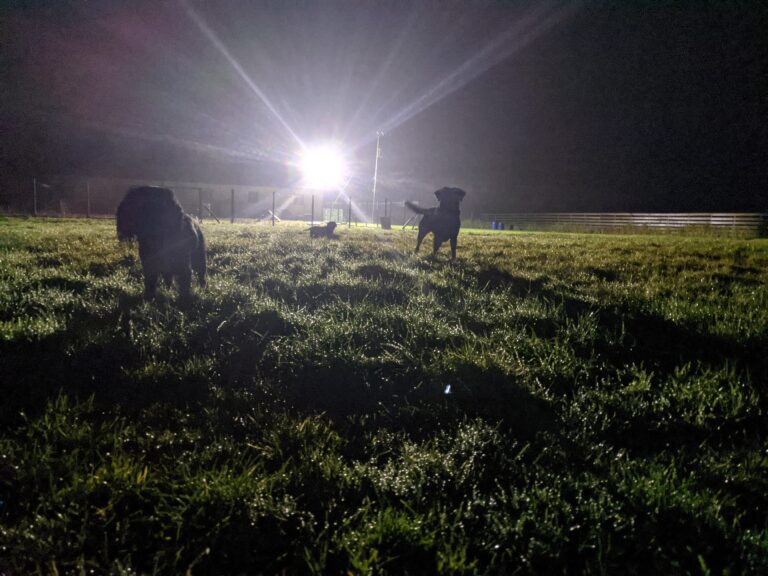 1168 69c7a6dcd0cde98c05dad8889ba088bd 1 768x576