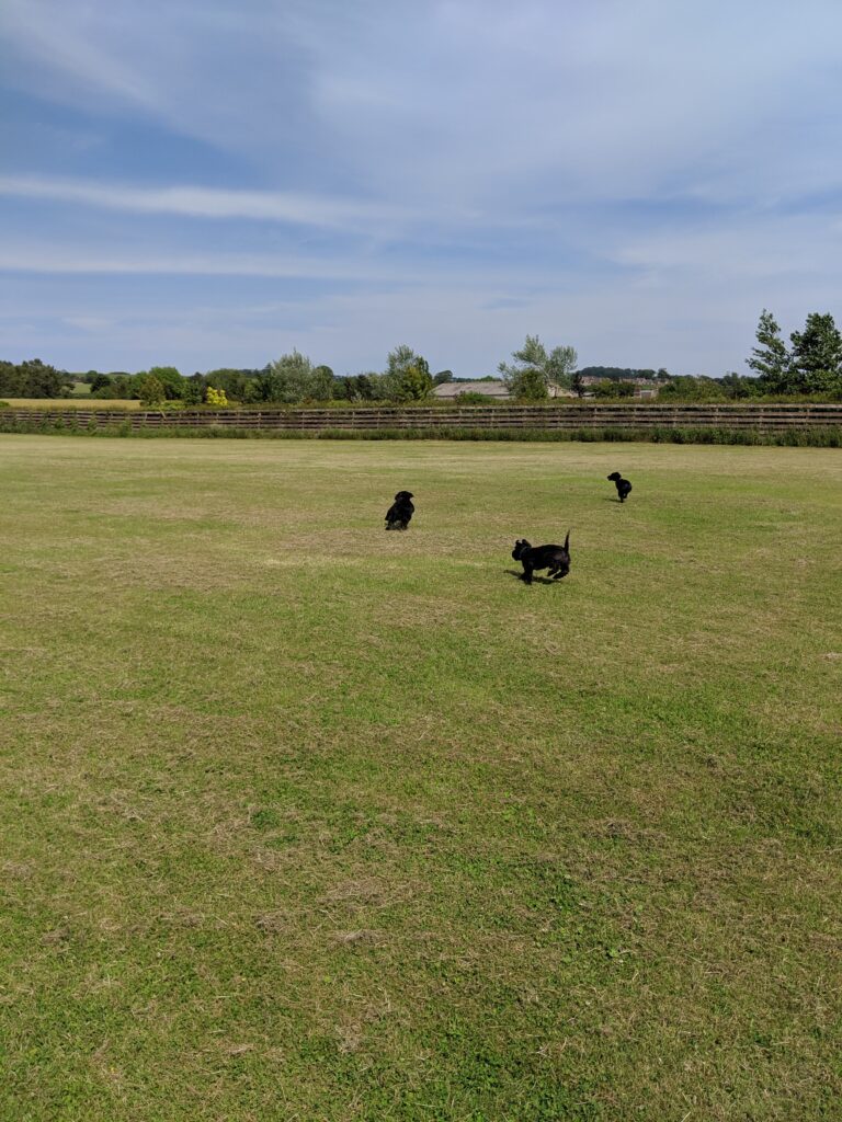 1168 6d2f9c0a09fe3500817365226a9d7c51 1 768x1024