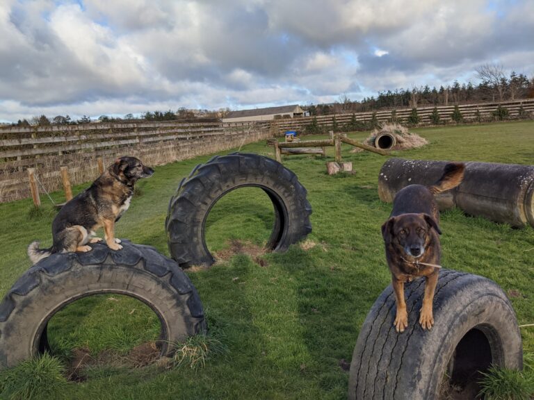 1168 b46c71e1955f3d1ec2ab579ffb46f8e1 1 768x576