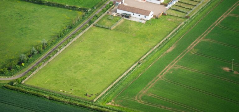 1168 d692fff678ecd269f64805a5b8064ad7 1 768x363