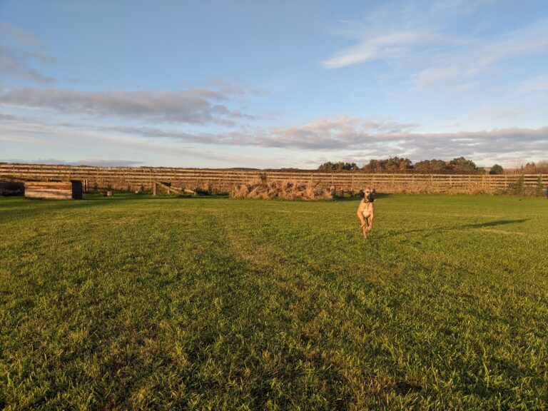 1168 eb8b5837edf20b415e5c58f50c9a51e1 1 768x576