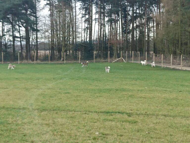 1172 041435c29bc22112f03363d9cc70b791 1 768x576