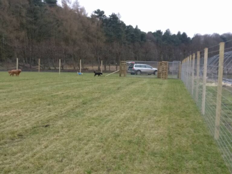 1172 20a92b53215c97641d206bd080eaa1f4 1 768x576