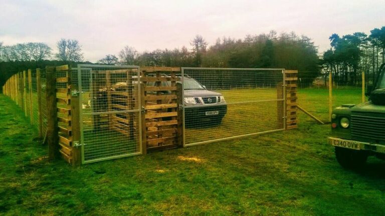 1172 4c793855ae980ffec3a30e5f3bda32b0 1 768x431