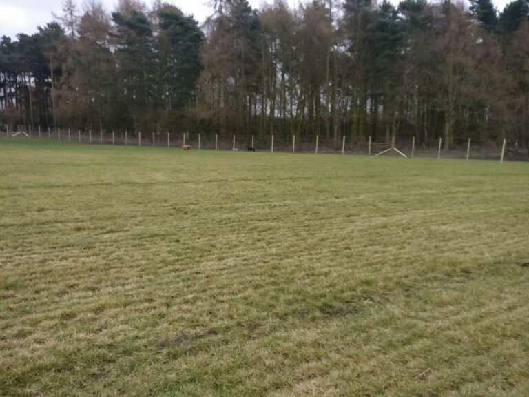 1172 caf4b554831ea40fbd5dd88c11e0b3c7 1 768x576