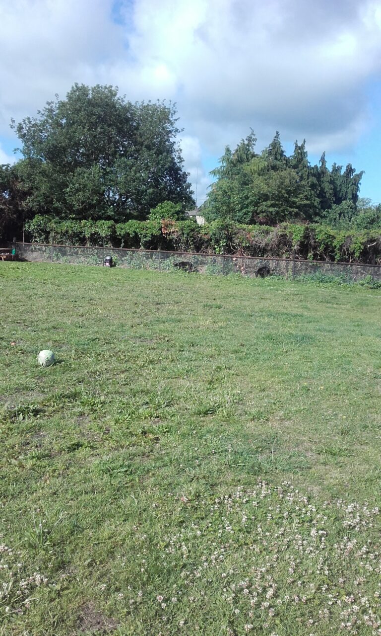 1175 2f3ce6c23c26c3ad3f71d00b1d25b4ee 1 768x1280