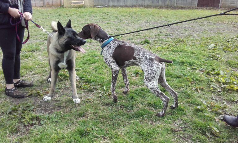 1175 6c05911be2358df51a75dbed114b435c 1 768x461