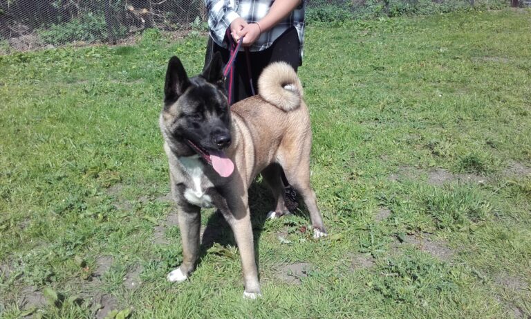 1175 71bcf54a1f1ce07c8238b9543feab414 1 768x461