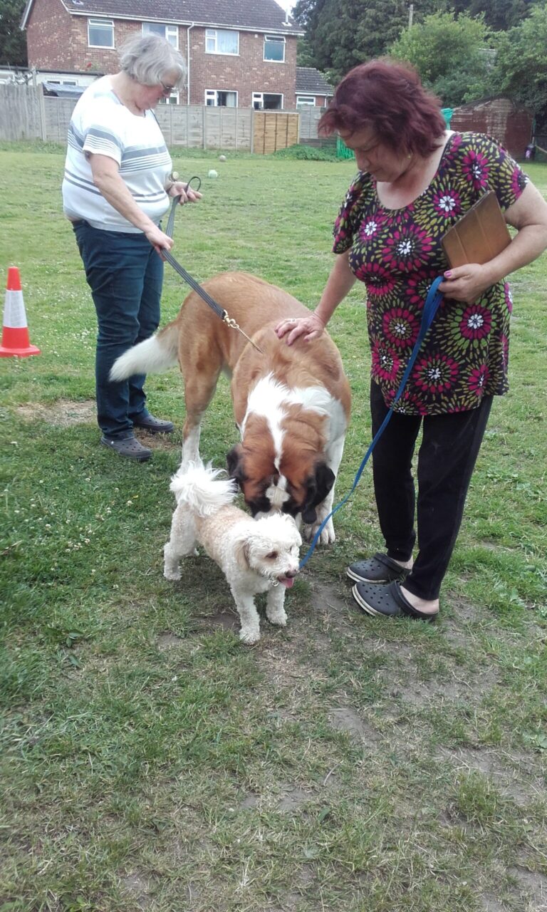 1175 8e7b8713982e8e0036049f1111d771de 1 rotated 768x1280