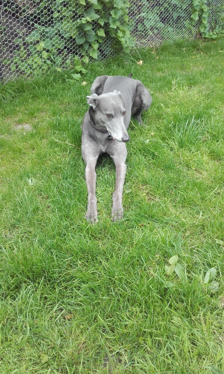 1175 cd968b8bea933c4f35469e0a18d050e9 1 768x1280