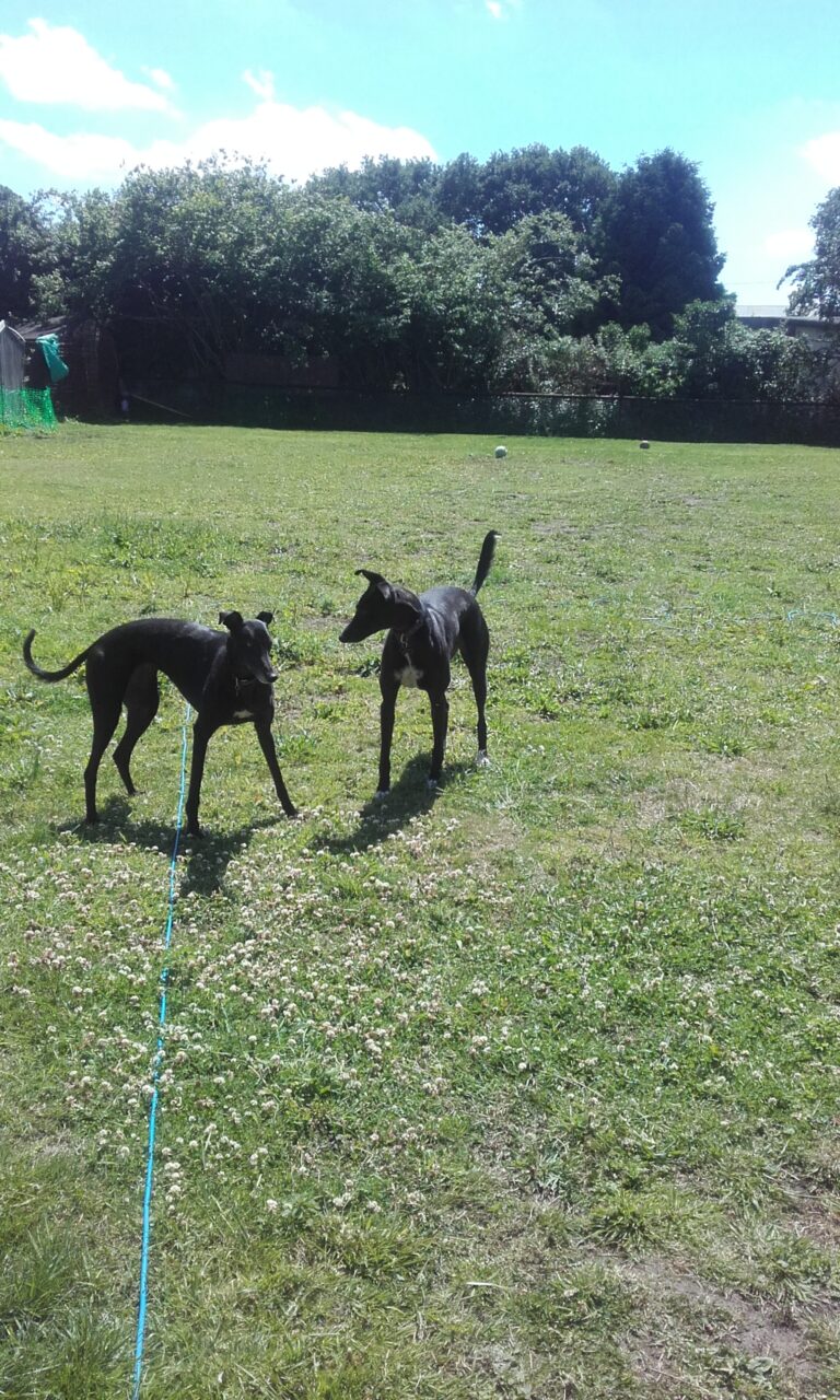 1175 ce00e330691e6321601d1dbdf93be5dd 1 768x1280