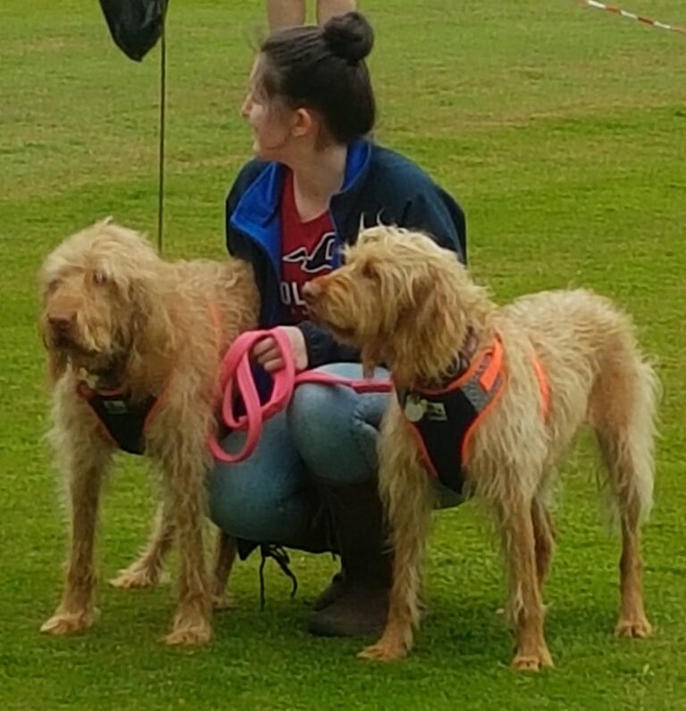 1187 1c8ee6cfcdbb5571ce70e55dbead33f7 1 768x796