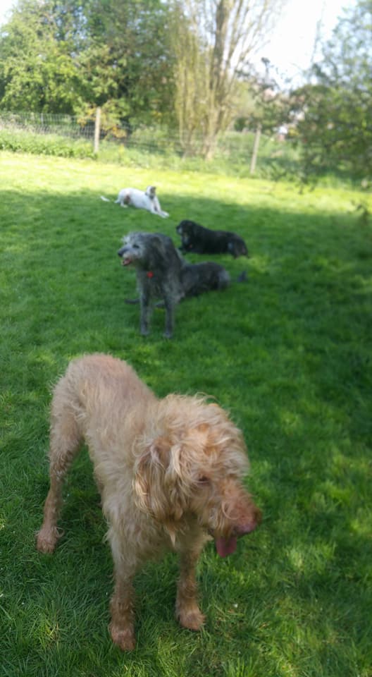 1187 3fdc59002a4206630966189e47317259 1