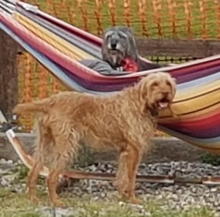 1187 592a4c953a67304d9d8e0ac4de9c85a8 1 768x758