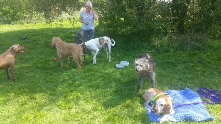 1187 7c503a522ca0925d37884c9ec638d178 1 768x432