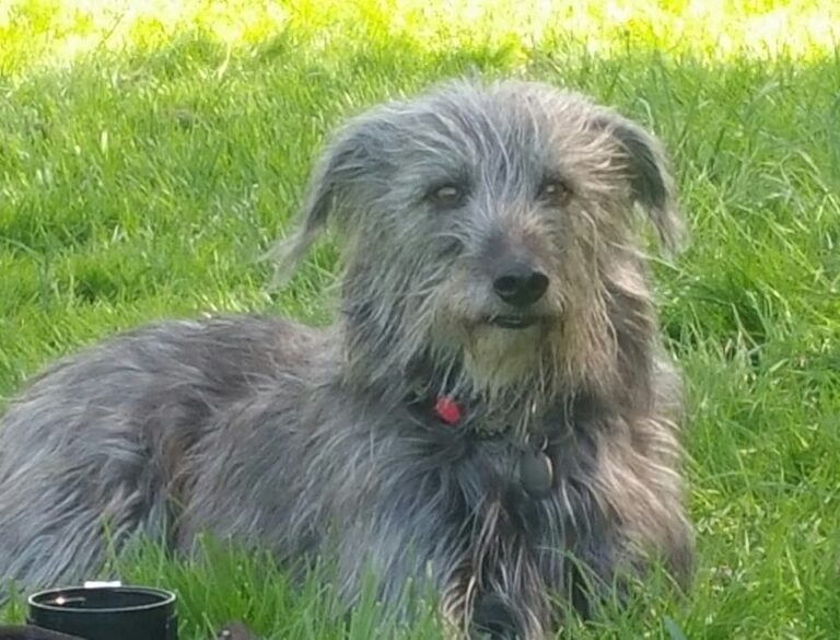 1187 a3b5b5ea3ef9fb3f4aa9d01e5f173e71 1 768x585