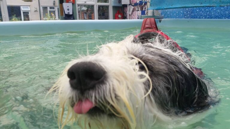 1187 c0963a1a93db02c7777ae6dbc36b3cc8 1 768x432