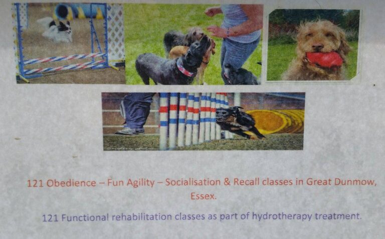 1187 ccf550d16bb5cc95373d6a40c0f70b20 1 768x477