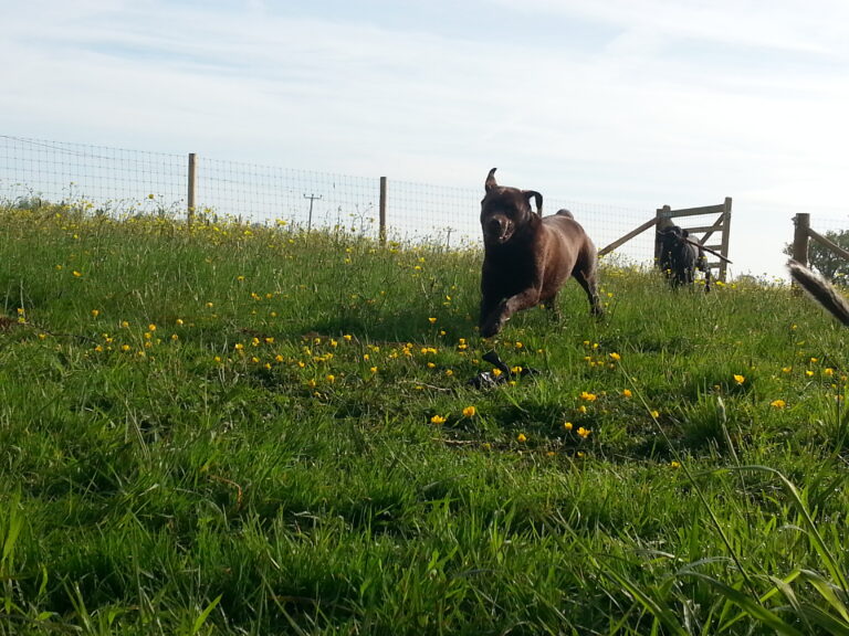 1188 361d129127253fafa99186523aca4297 1 768x576