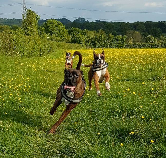 1188 49227fac612bfed07f2c29fd8a5cf803 1