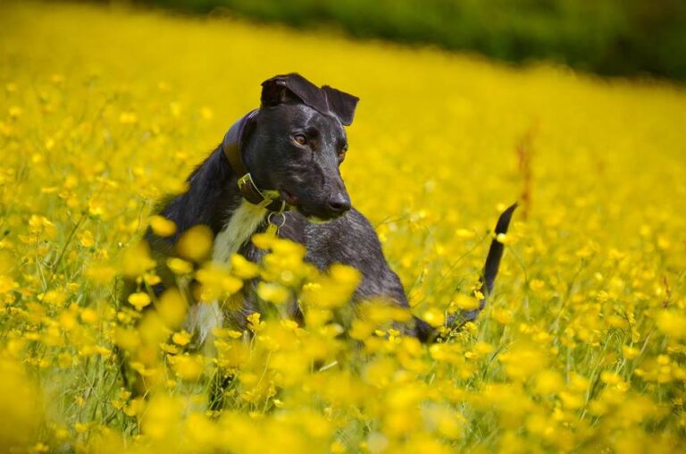 1188 aa7e638648b3b3e99bcee0d45e2a93a9 1 768x508