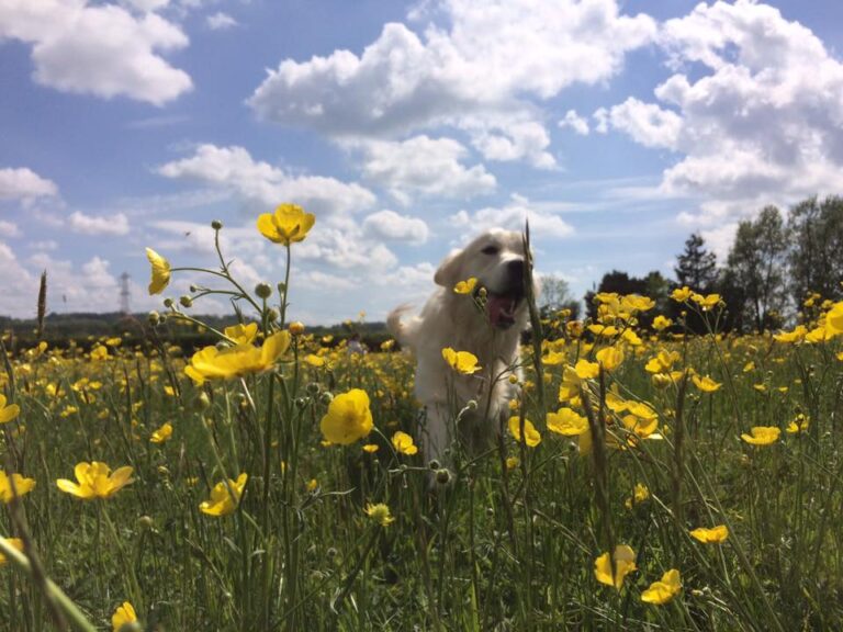 1188 aeb1464eee2351891634038a1e64dd39 1 768x576