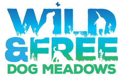 1189 85dd7b8aff03a5e3dc9bbbcc3283c203 1