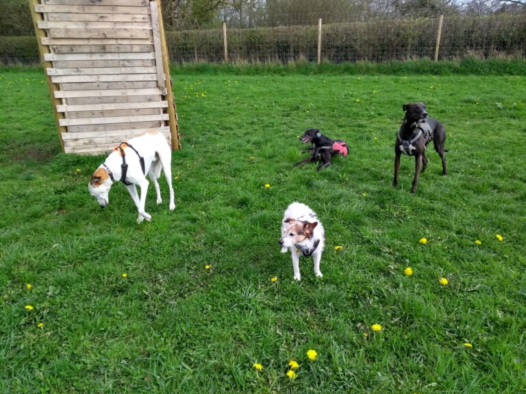 1189 aaa5ef0360d66d5dcfff912f5360a796 1 768x576