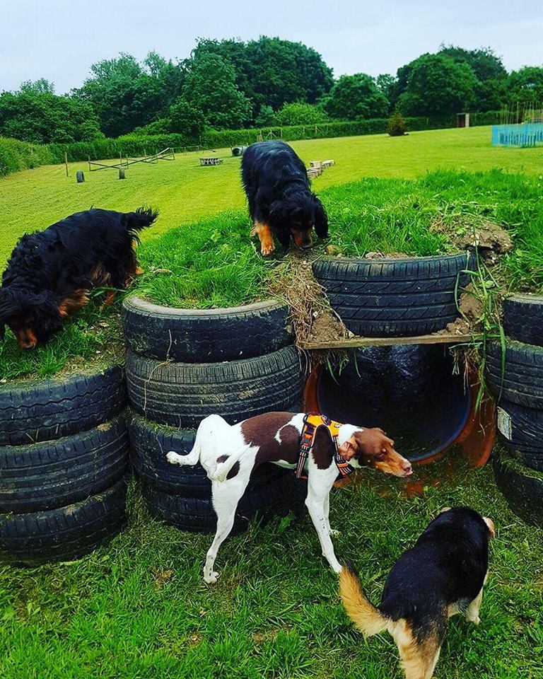 1189 baa9e50bcefaf4d0a0fc09f2254cd2ac 1