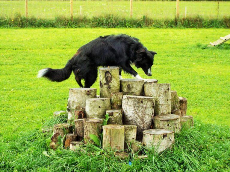 1189 f8ca7168bee8076dae93e601e537e4d5 1 768x576