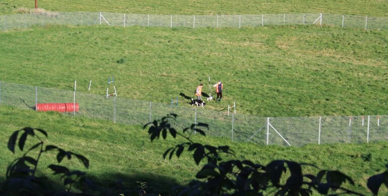 1198 d68b1516fabf86e714bf057c550915e0 1 768x388