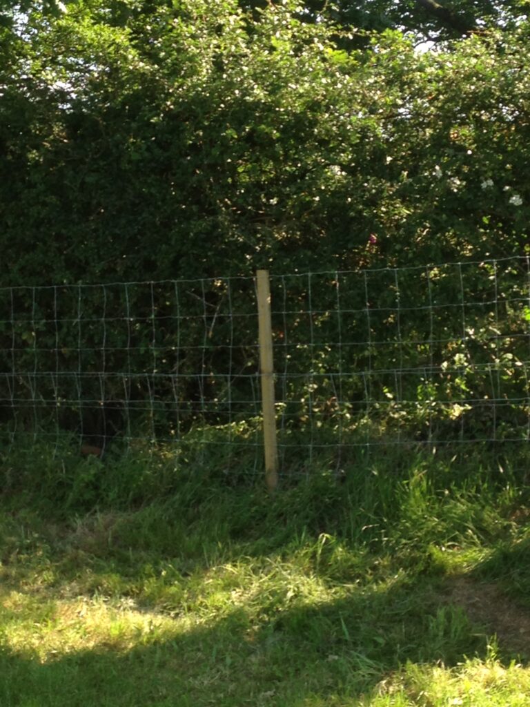 1206 90ac61386107c5138f5046bcd3624d56 1 768x1024