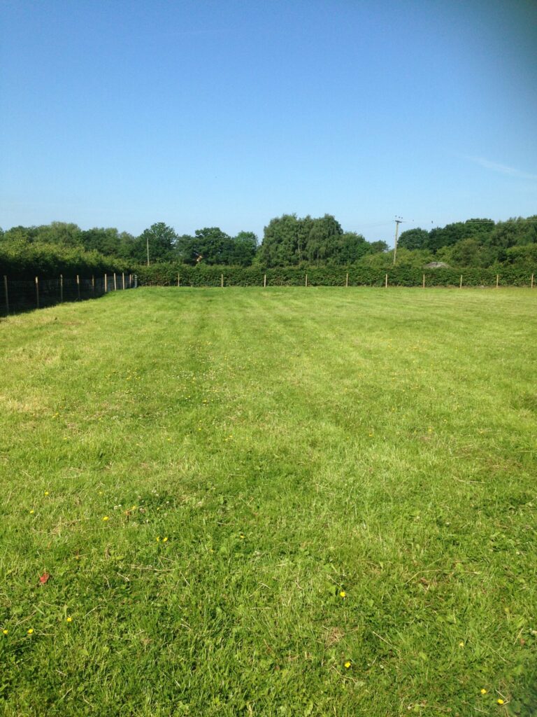 1206 ae17434822ffc60d3d6726328b829433 1 scaled 768x1024