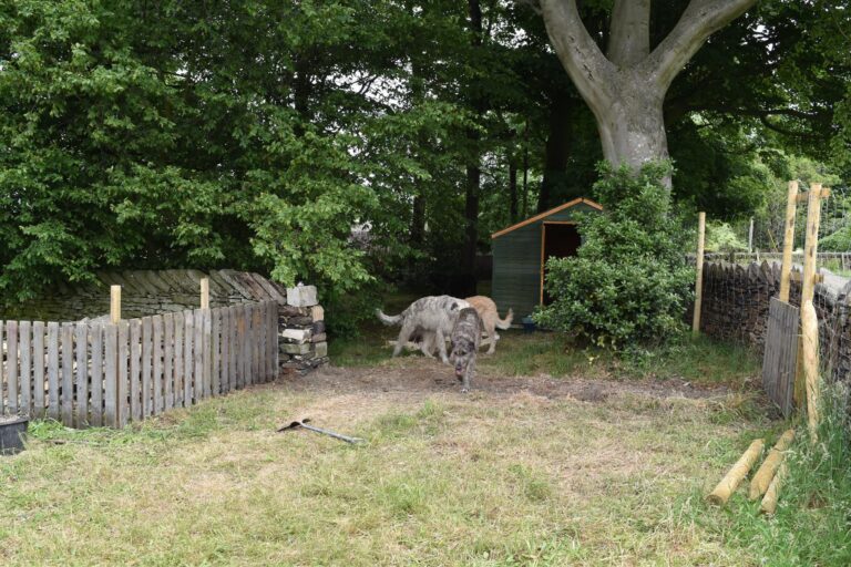 1208 17d85aa73ab529c0cd7445c68bc8ffcb 1 768x512